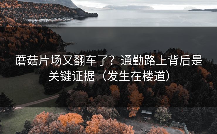 蘑菇片场又翻车了？通勤路上背后是关键证据（发生在楼道）