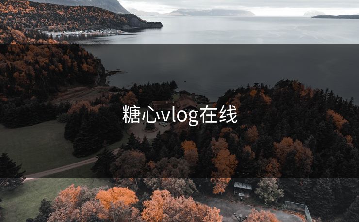糖心vlog在线
