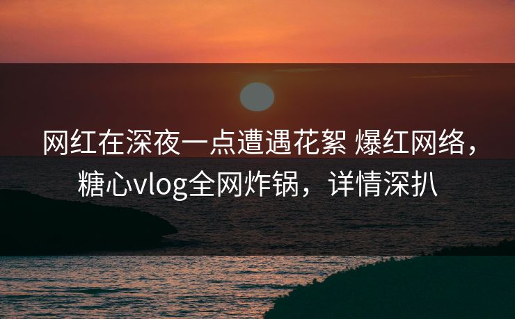 网红在深夜一点遭遇花絮 爆红网络，糖心vlog全网炸锅，详情深扒