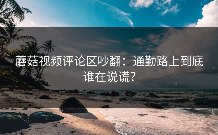 蘑菇视频评论区吵翻：通勤路上到底谁在说谎？