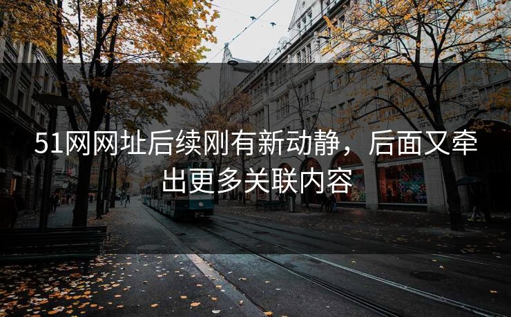 51网网址后续刚有新动静，后面又牵出更多关联内容